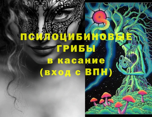 соль ск Протвино